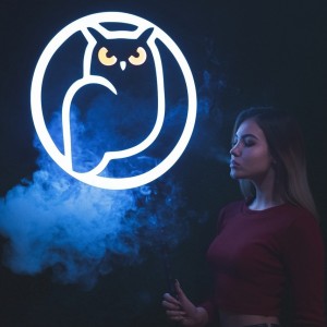 Фотография hookah bar Sova lounge
