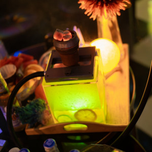 Фотография кальянная MONKEE HEALING LOUNGE