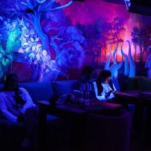Фотография кальянная Luminarium
