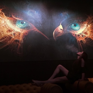 Фотография hookah bar Dark Haze