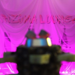 Фотография кальянная Rizoma Lounge Club
