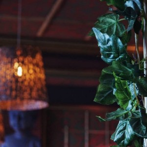 Фотография кальянная BUDDHA BAR