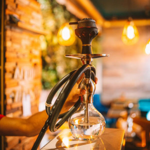 Фотография restaurant ALCHIMIE
