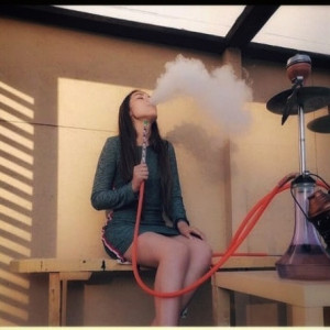 Фотография teahouse Smoky Mouse