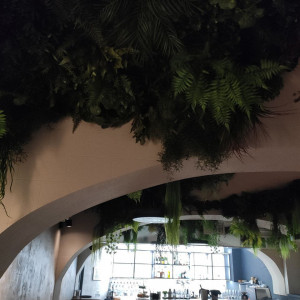 Фотография ресторан Loft N8 Garden