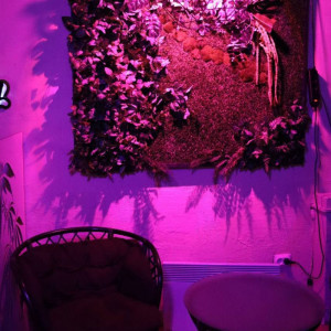Фотография кальянная Cloudy bay lounge