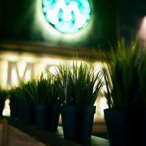 Фотография кальянная Мята Lounge
