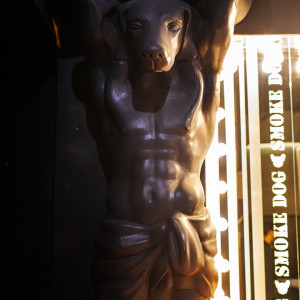 Фотография hookah bar Smoke Dog на Пирогова