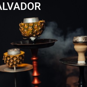 Фотография кальянная SALVADOR